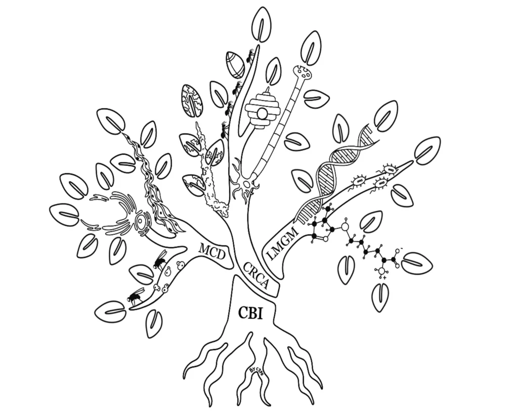 Schéma en arbre des laboratoires du cbi et de leurs thèmes de recherche