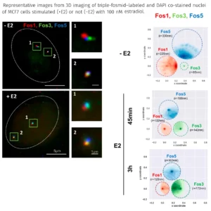 Schéma explicatif imagerie 3d