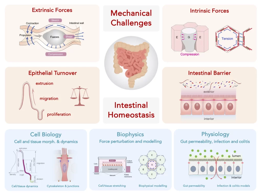 Schéma travaux équipe Krndijia