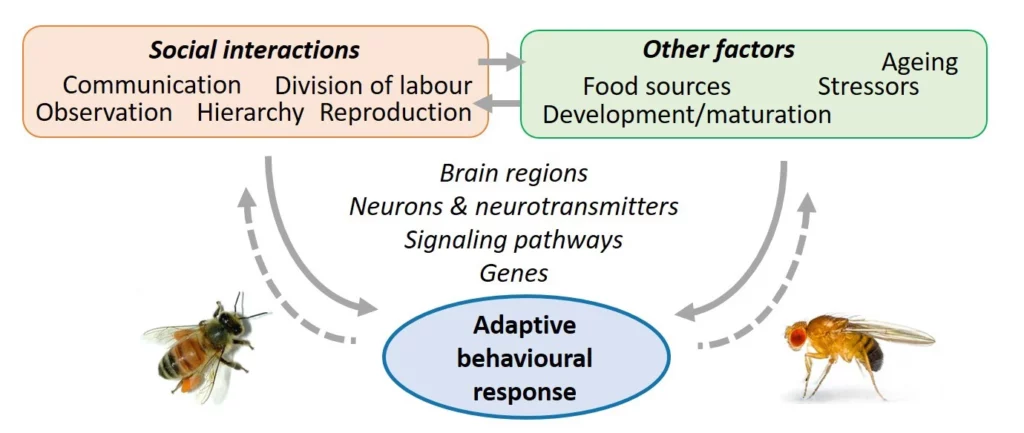 Schéma travaux équipe Explain