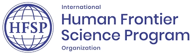 Logo HFSP