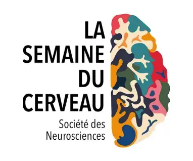 La semaine du cerveau